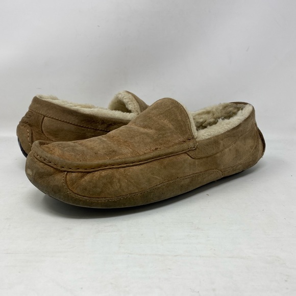 ugg ascot slipper chestnut